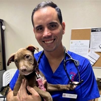dr. willie