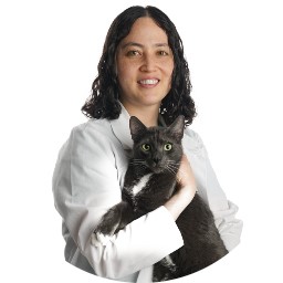 Dr. Marie Sato Quicksall
