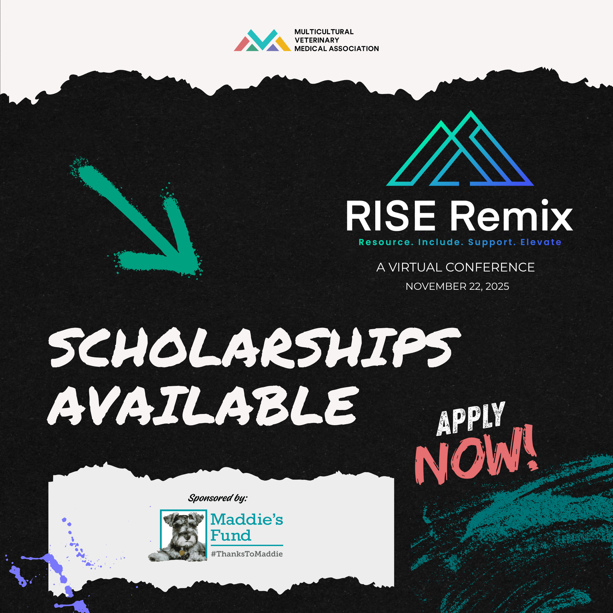 Scholarships Website